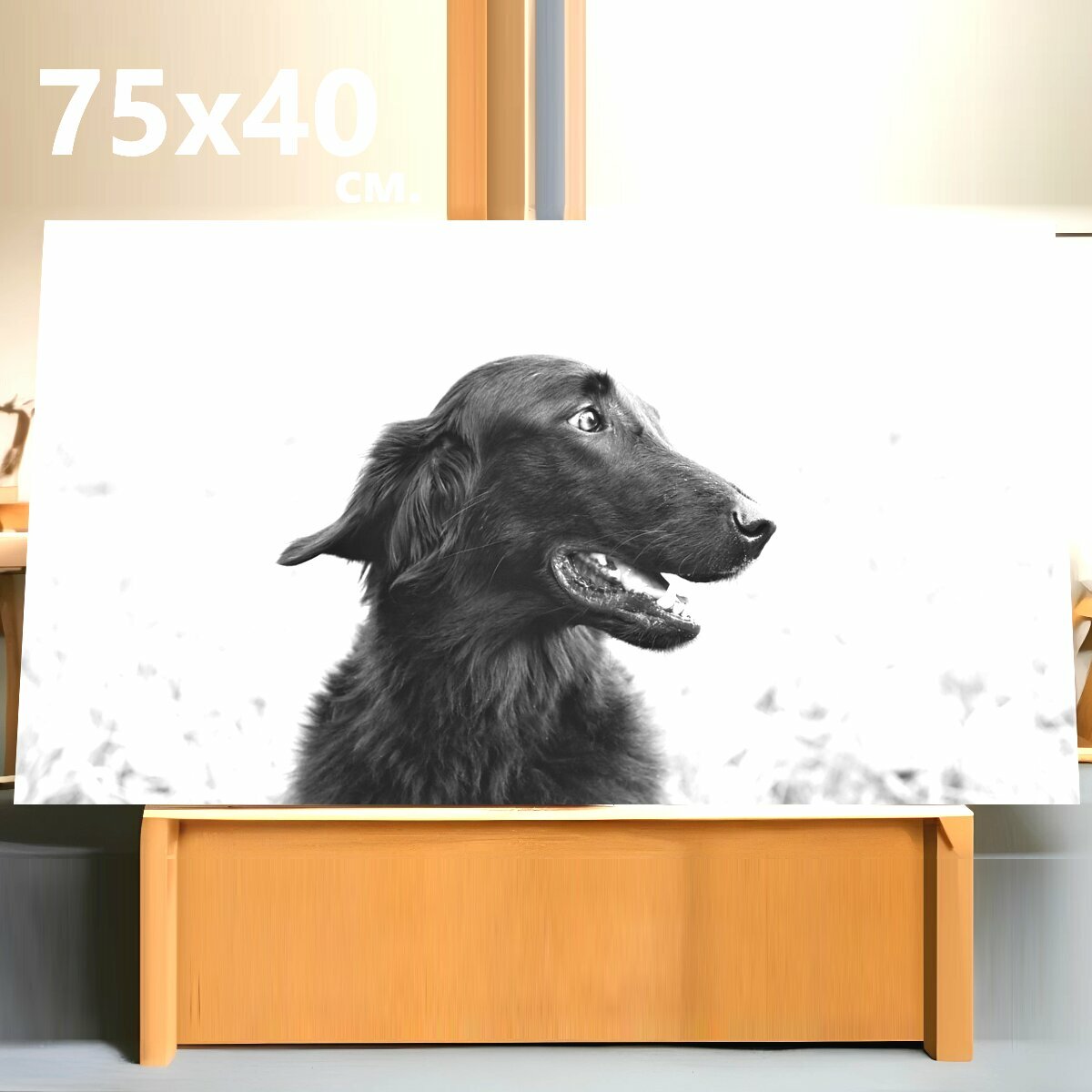 Картина на холсте "Собака, сеттер, домашнее животное" на подрамнике 75х40 см. для интерьера