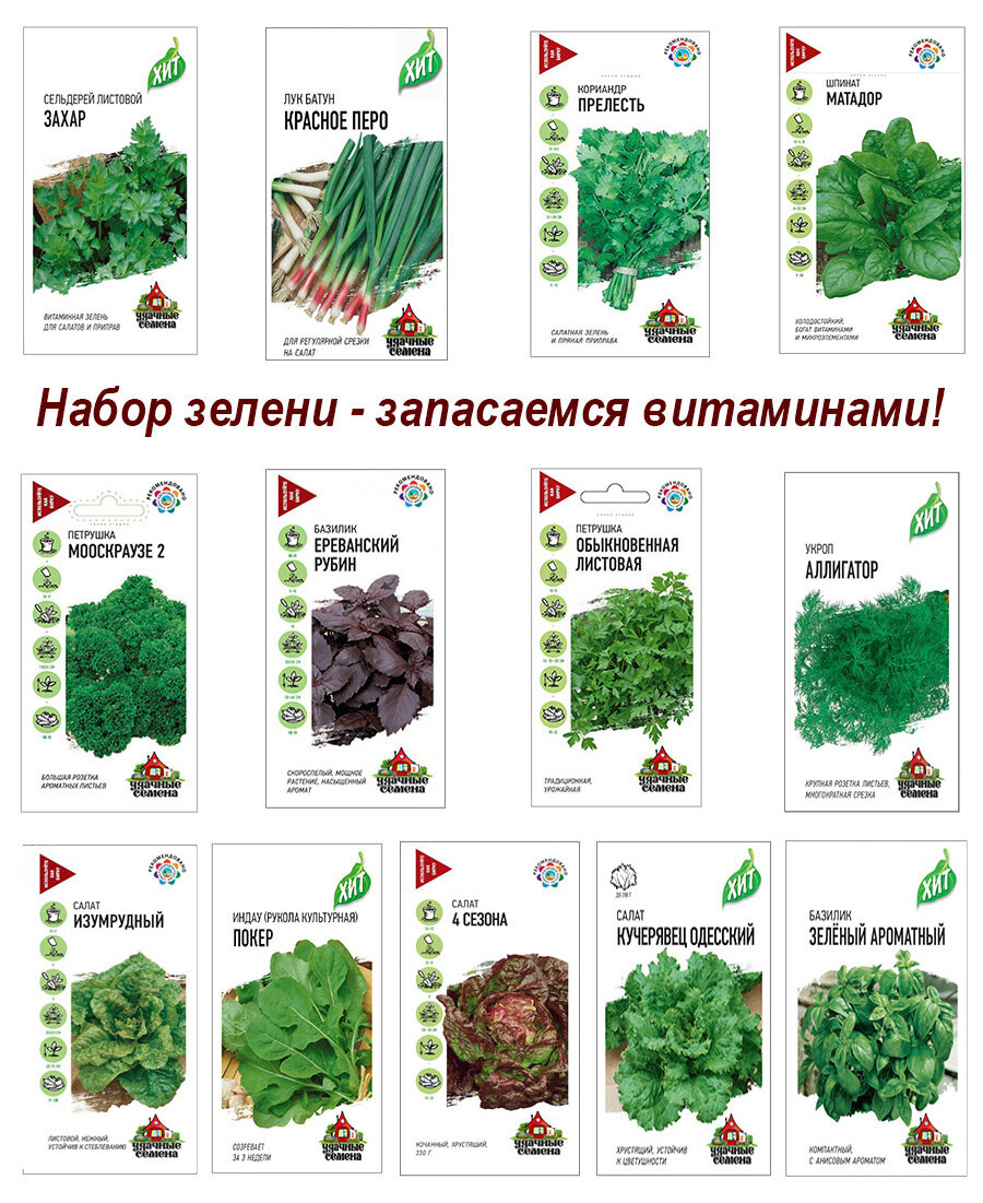 Семена набор семян Зелень базилик укроп салат петрушка и др