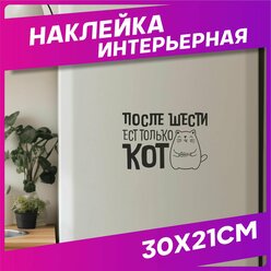 Наклейка на холодильник интерьерная Приколы кот