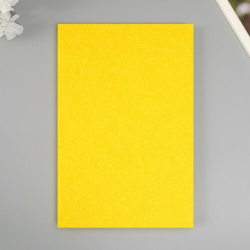 Фетр жесткий 1 мм 20х30 см желтый 10шт 647₽