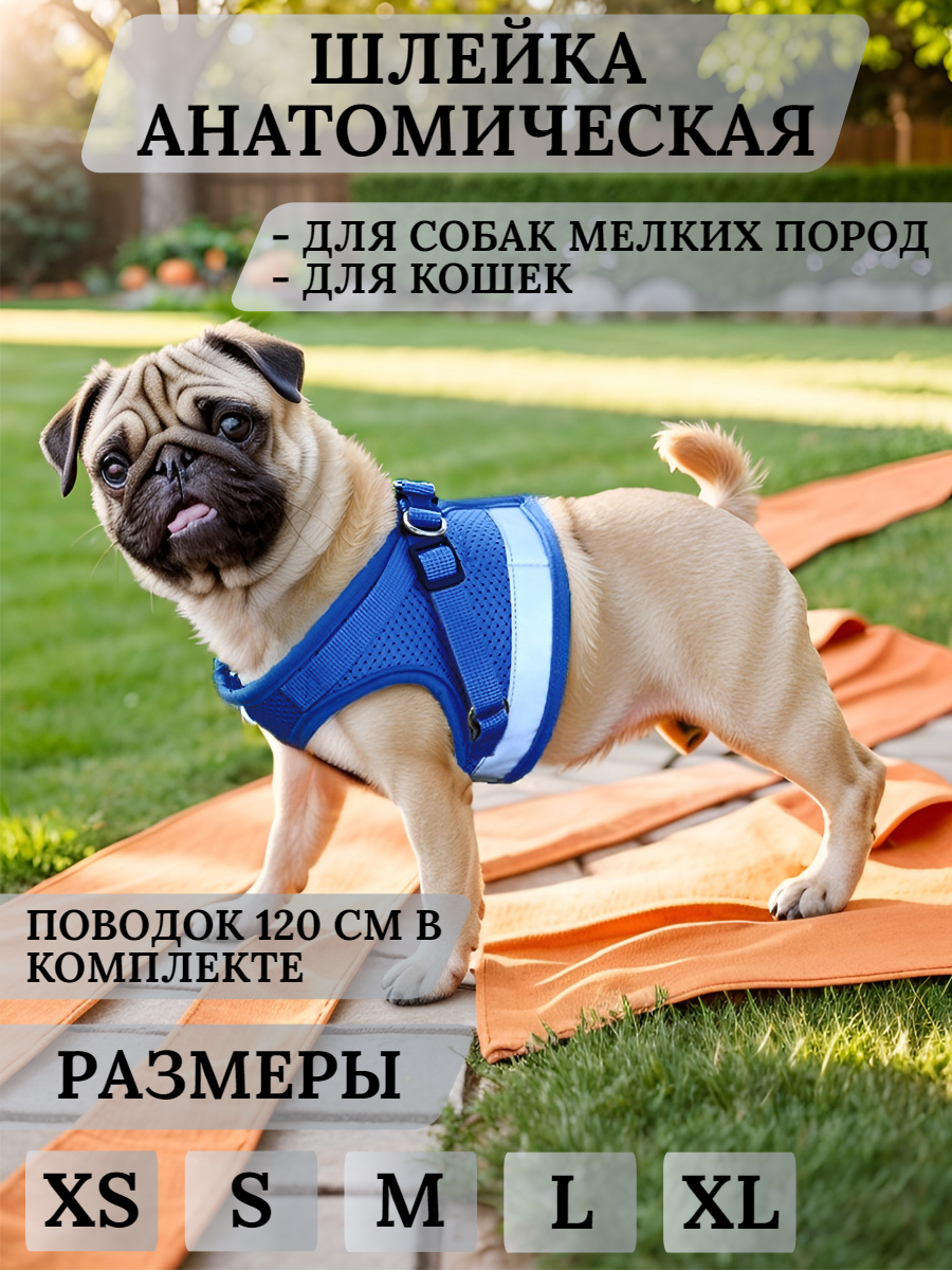 фото Шлейка с поводком Mirestra для собак мелких пород / для кошек