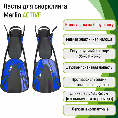 ласты marlin active blue 43 48 l xl Ласты Marlin ACTIVE blue 43-48 (L/XL)