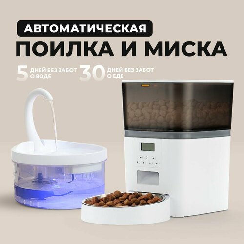 Автокормушка с автопоилкой для кошек и собак