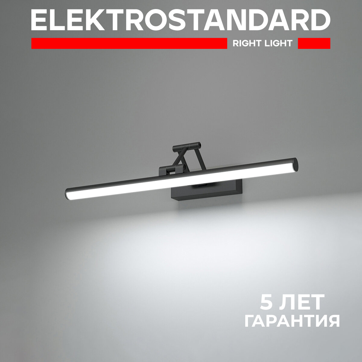 Настенный светодиодный светильник Elektrostandard Monza 40128/LED черный IP20