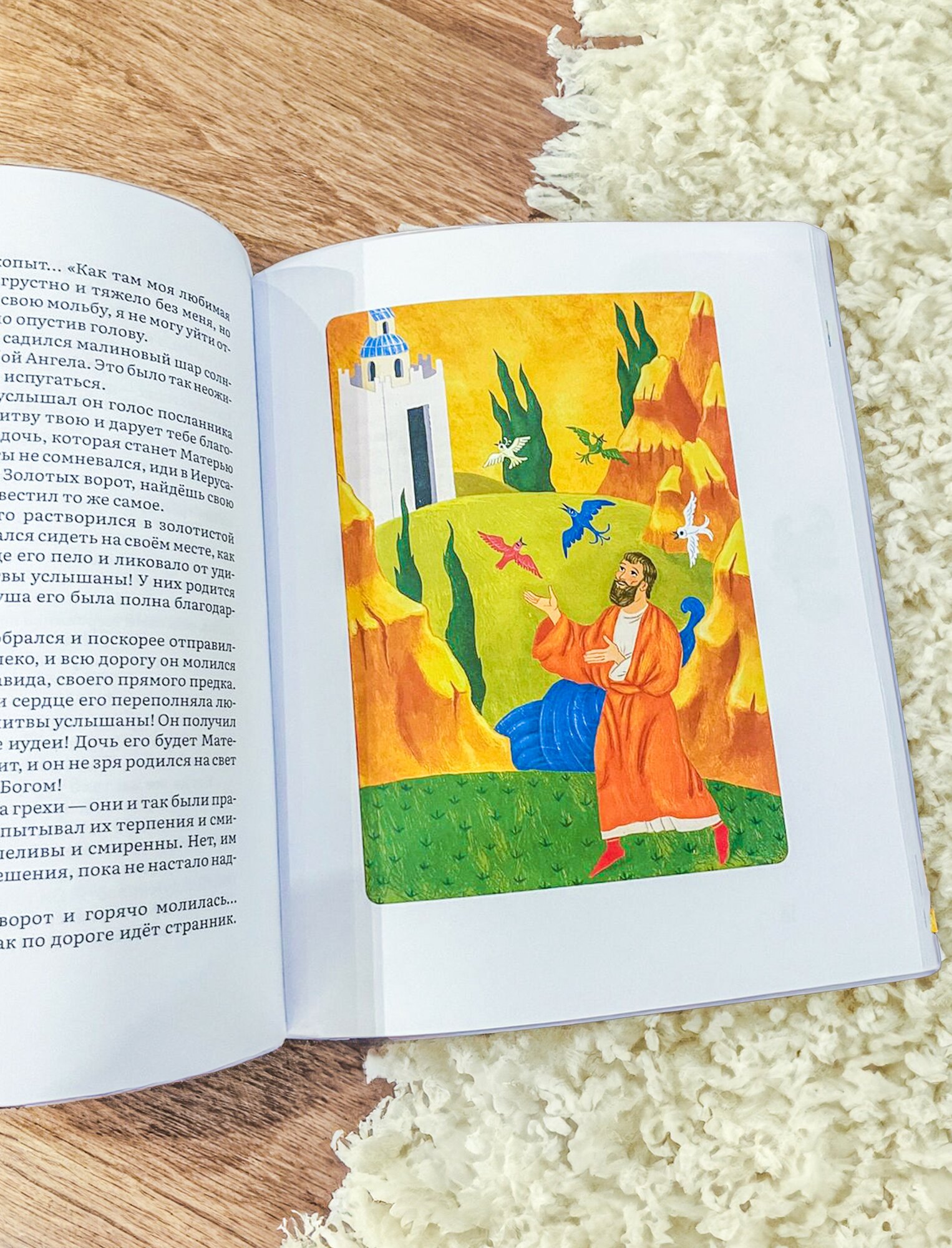 Книга Никея "Жития святых в пересказе для детей", переплет твердый, 2024 г — фото 1