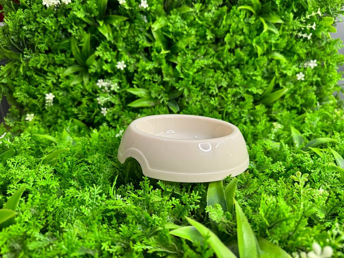 Бежевая миска 250 мл для кролика хомяка и других грызунов