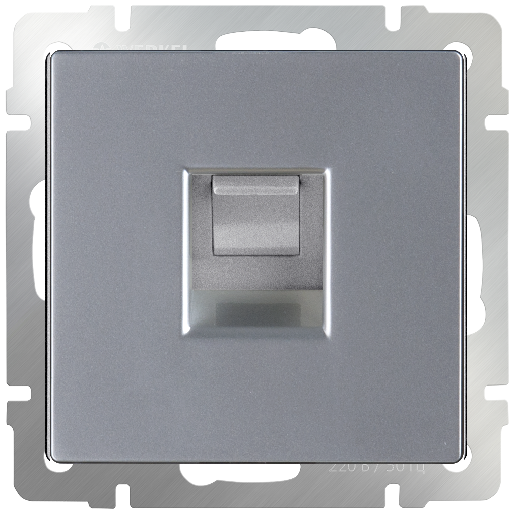 Розетка для интернета Werkel WL06-RJ-45 серебряный