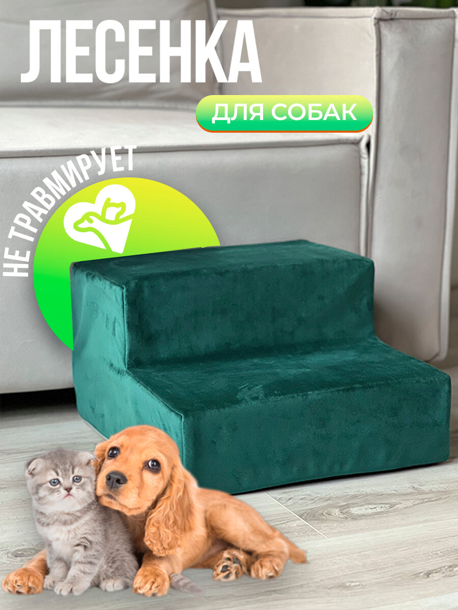 Лестница для животных собак кошек на 2 ступени. Лесенка для собак STEP 2S, зеленая, 40х40х24, высота 24 см.