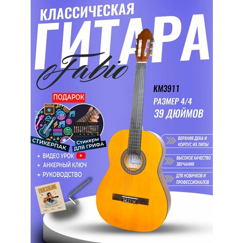 Акустическая гитара Fabio FAW-702BL