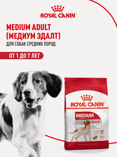 Изображение товара Сухой корм для собак Royal Canin Medium Adult для средних пород, 3 кг