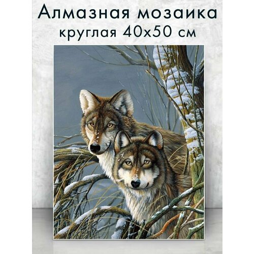 Алмазная мозаика (круг) 