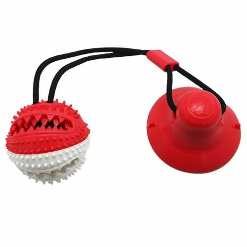 Игрушка для собак N1, шипованный мяч на присоске, 40 см, 1 шт.