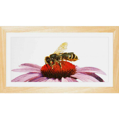 Набор для вышивания Пчела на эхинацее, канва аида 18 ct 45 х 21 см THEA GOUVERNEUR 549A
