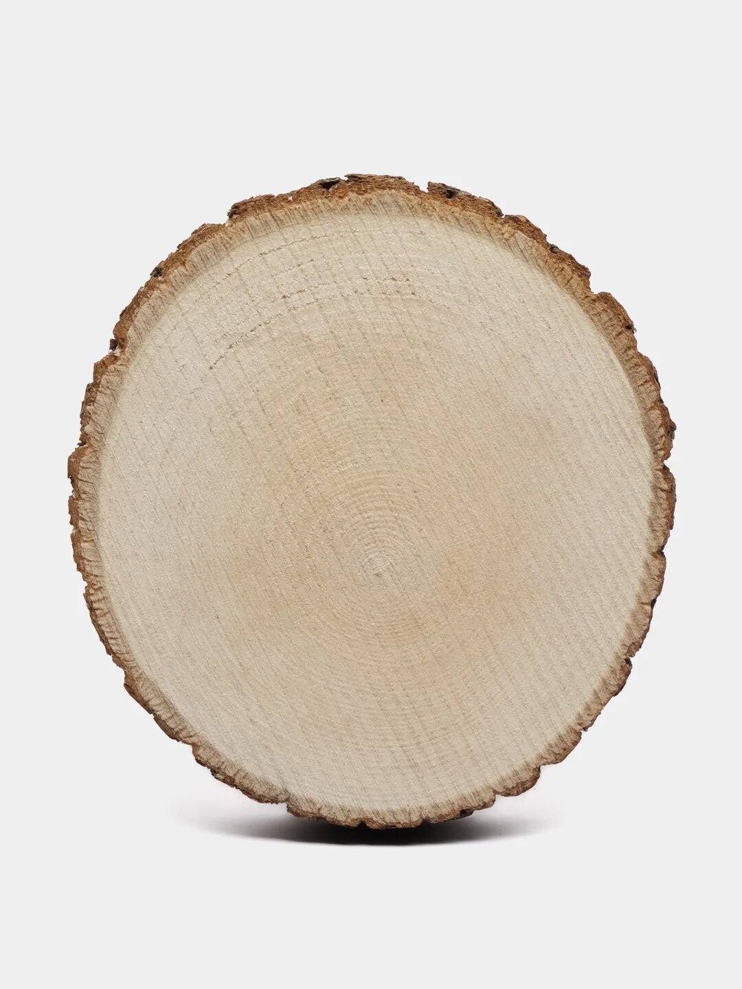 Спил липы необработанный, диаметр 9-10 см, толщина 15-17 мм.