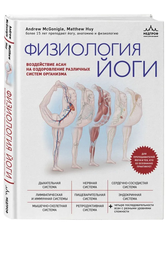 Физиология йоги. Воздействие асан на оздоровление различных систем организма - фото №1