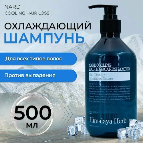 Шампунь для волос Nard Cooling Hair Loss Care Shampoo охлаждающий, против выпадения волос с гималайской травой Нард, 500 мл