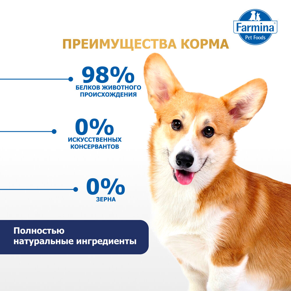 Картинки Сухой корм Farmina N&D Dog Lamb&Blueberry Adult Mini для взрослых собак мелких пород Ягненок и черника, 800 г.