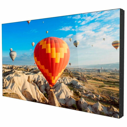 Панель Goodview 55" PD55N10 black