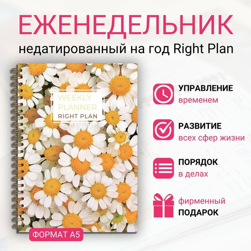 Ежедневник недатированный Right Plan 