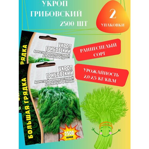 Семена Укроп Грибовский, 2 упаковки семена укроп быстроотрастающий 2 упаковки 2 подарка от продавца
