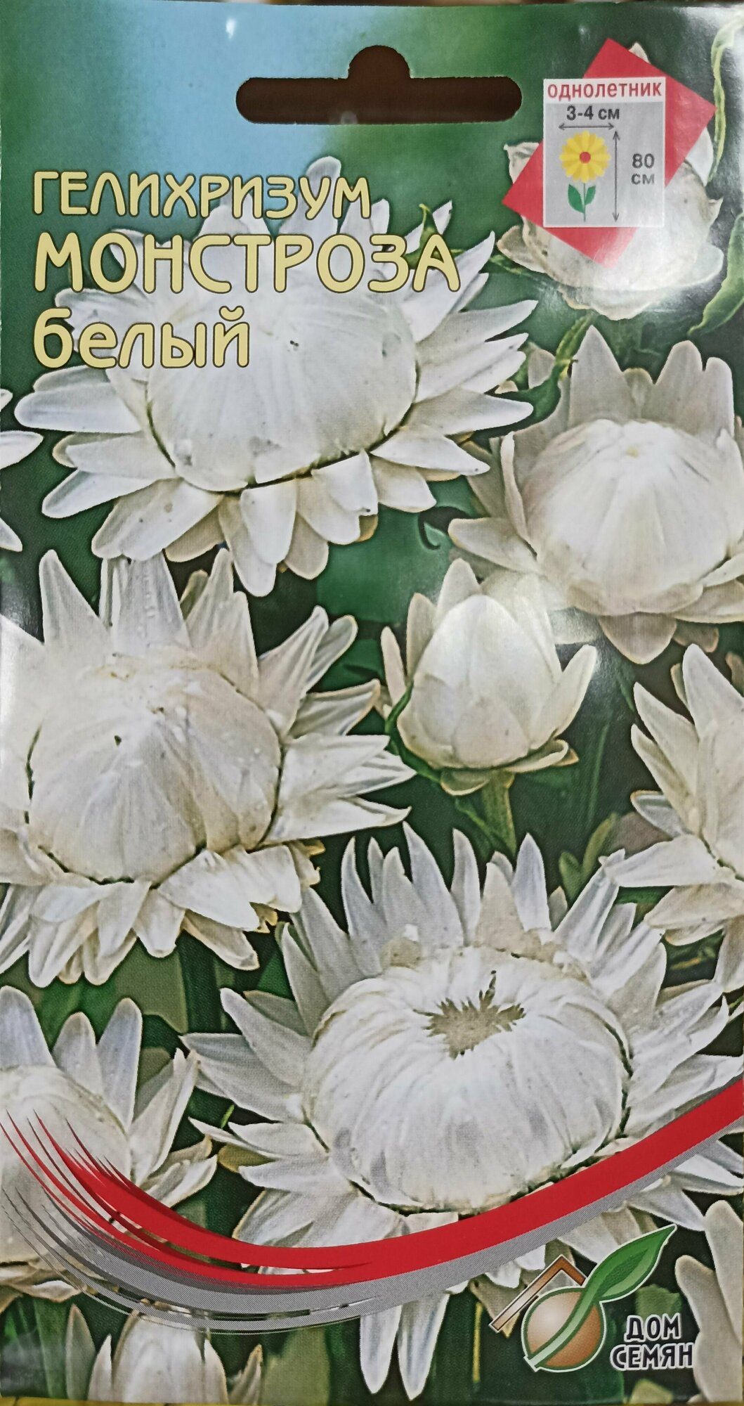Бессмертник (Гелихризум) Монстроза белый самый популярный среди сухоцветов украшение любой зимней композиции и букета 100 шт семян