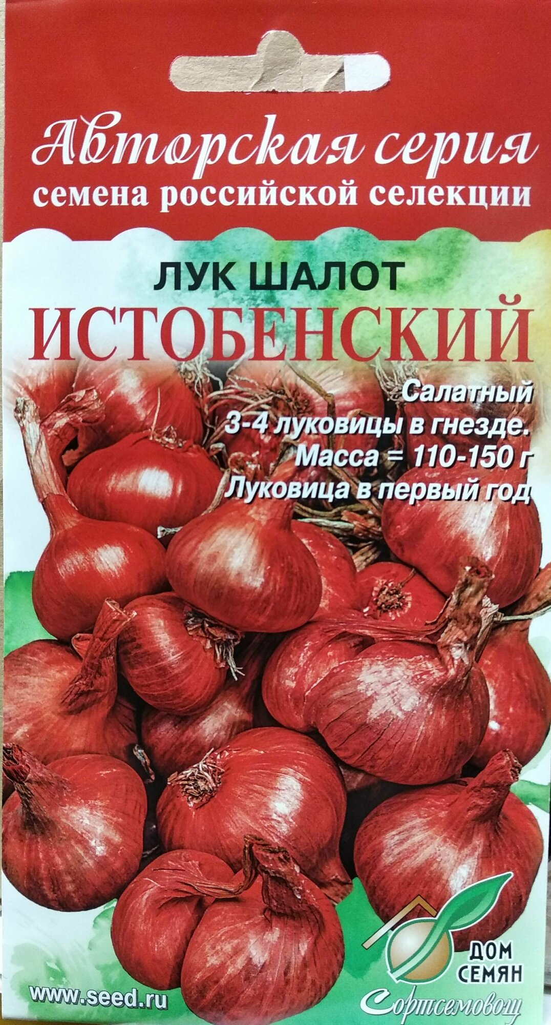 Лук Шалот Истобенский, семейный салатный лук, 3-4 луковицы в гнезде, мякоть белая сочная нежная, высокая урожайность, луковица в первый год, 17 семян