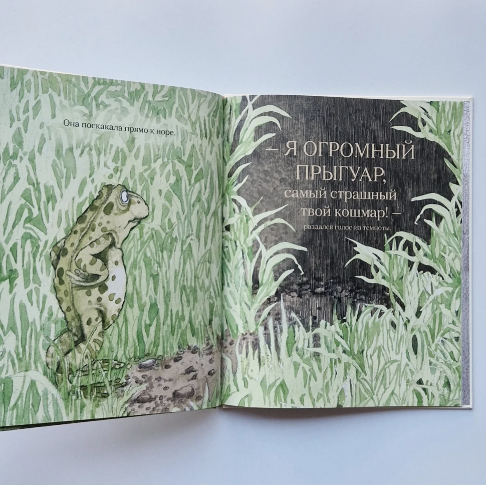 Джулия Дональдсон. Огромный Прыгуар - фото №10