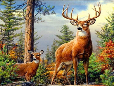 Алмазная картина 40х50 "Лесной олень" с подрамником