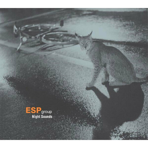 AUDIO CD ESP group: Night Sounds. 1 CD