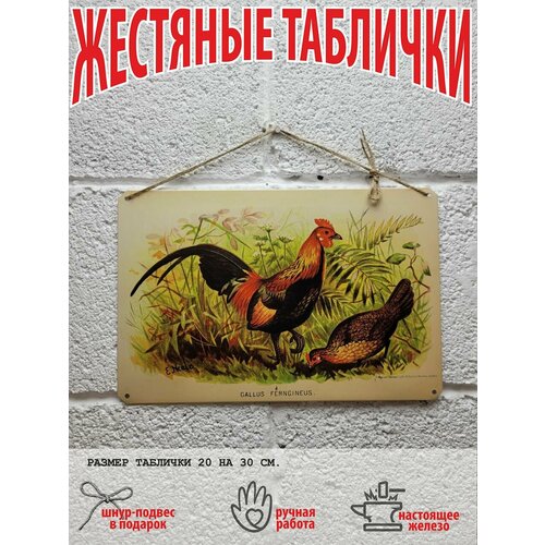 Петух и курица, птицы постер 20 на 30 см, шнур-подвес в подарок Арт Декоро