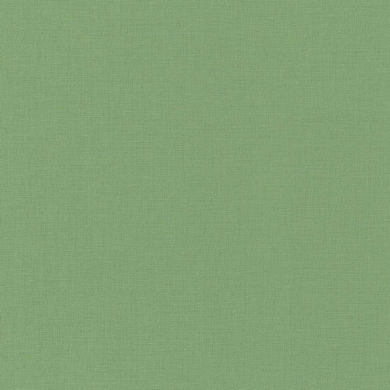 Обои Rasch Natural Colors 537918 винил на флизелине поверхность полуматовая размер рулона 053х1005 Германия