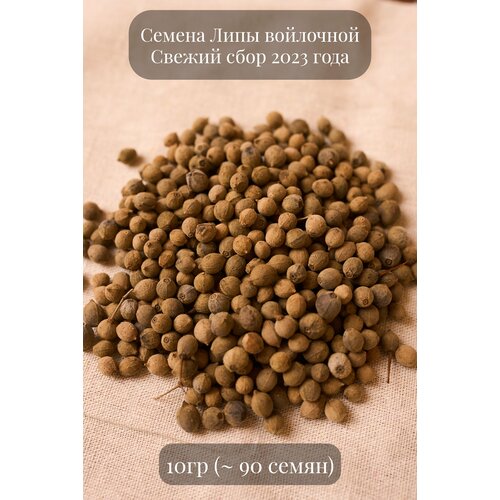 Семена Липы войлочной, 10грамм (примерно 90шт)