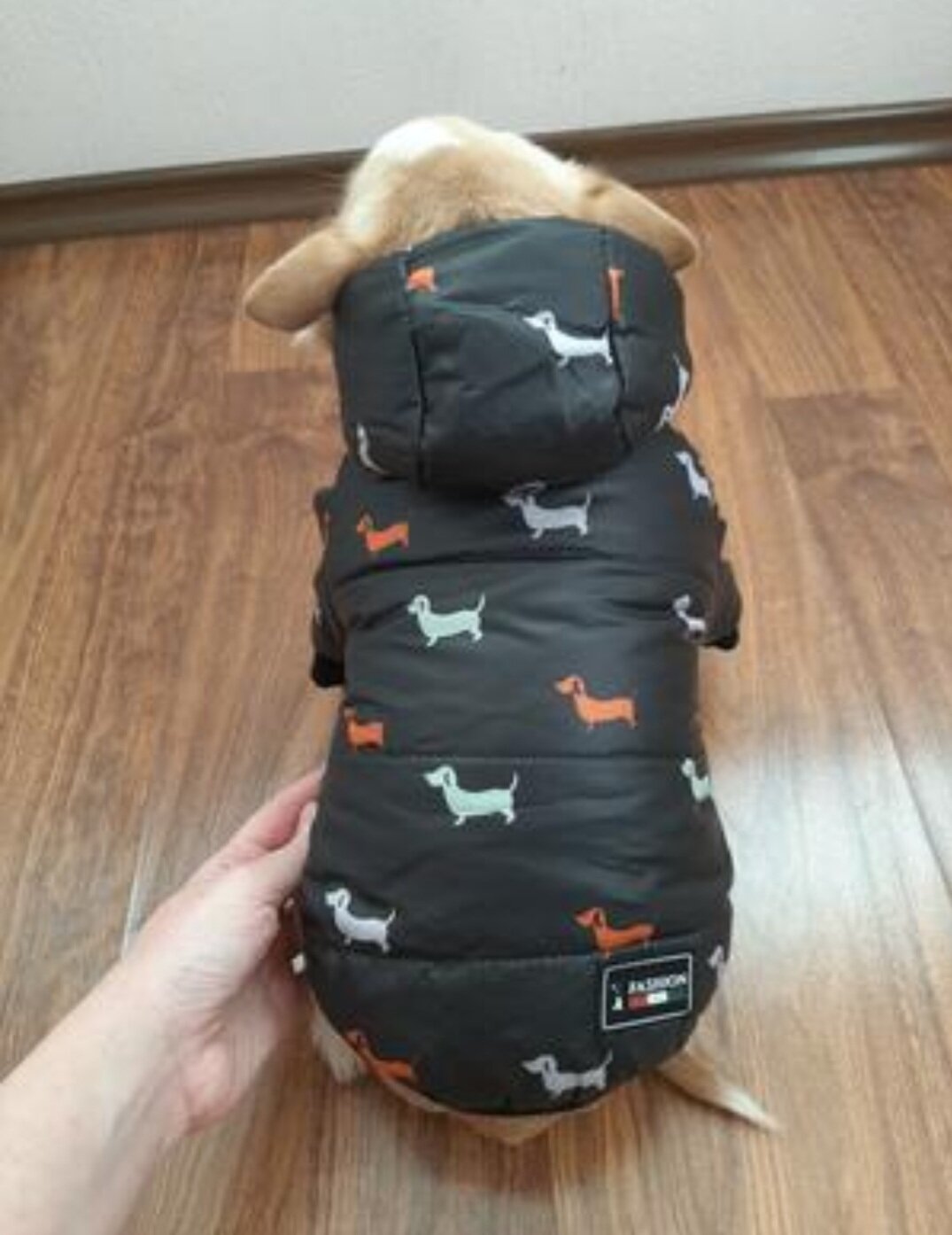 Куртка для собак "Pets Таксики" XL 35х47х32 - фотография № 2