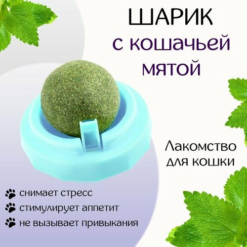 Игрушка для кошек из кошачьей мяты Вращающийся шарик на основании, 5 х 4 см, голубая