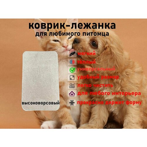 Мягкий, высоковорсовый коврик для животных Новостройка 80*50