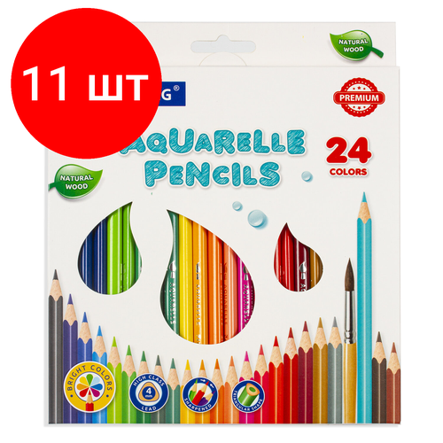 Комплект 11 шт, Карандаши цветные акварельные BRAUBERG PREMIUM AQUARELLE, 24 цвета, грифель мягкий 4 мм, 181673