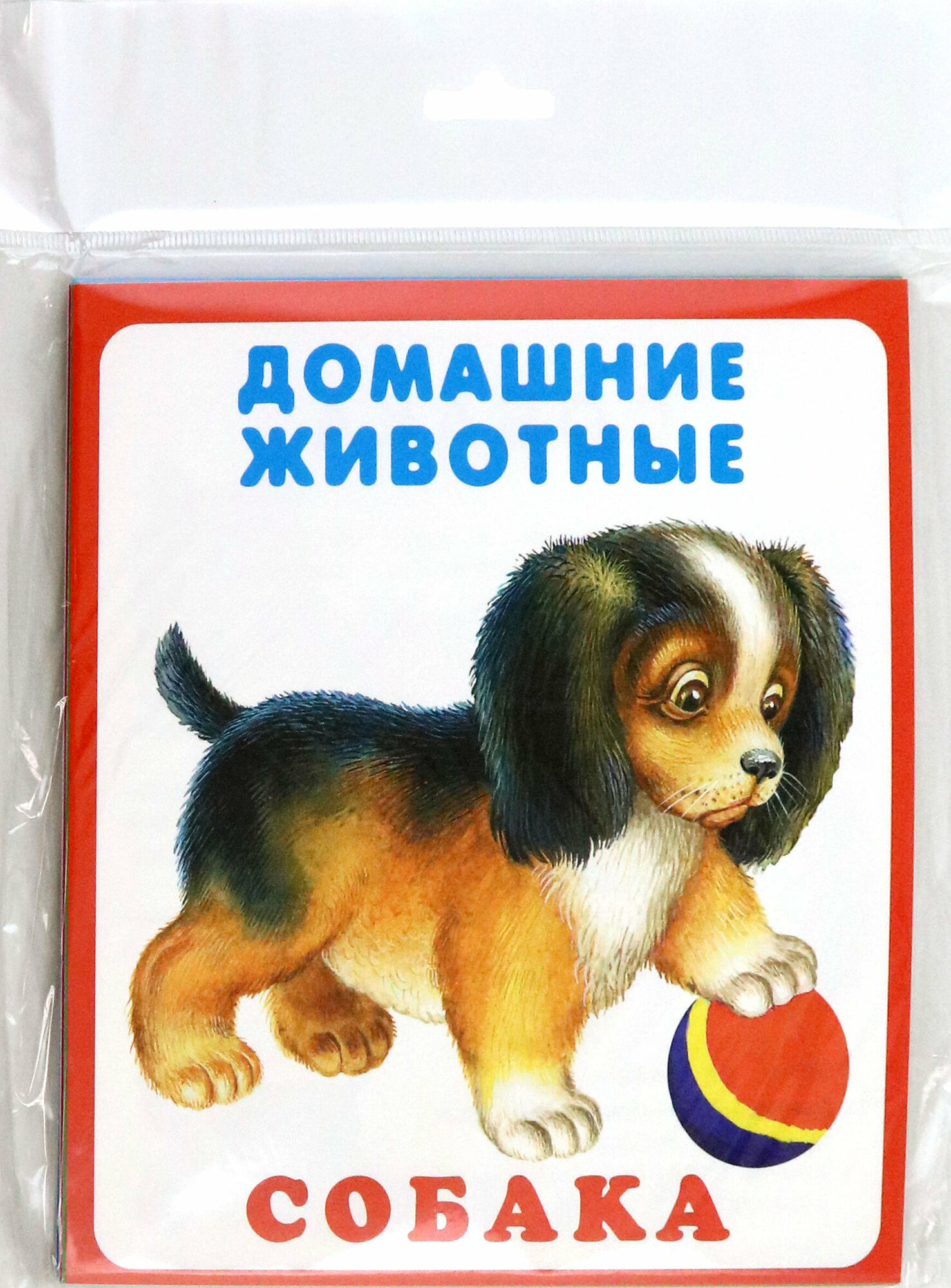 Домашние животные (Цыганков Иван Александрович (иллюстратор), Игнатьев Б. (иллюстратор)) - фото №5