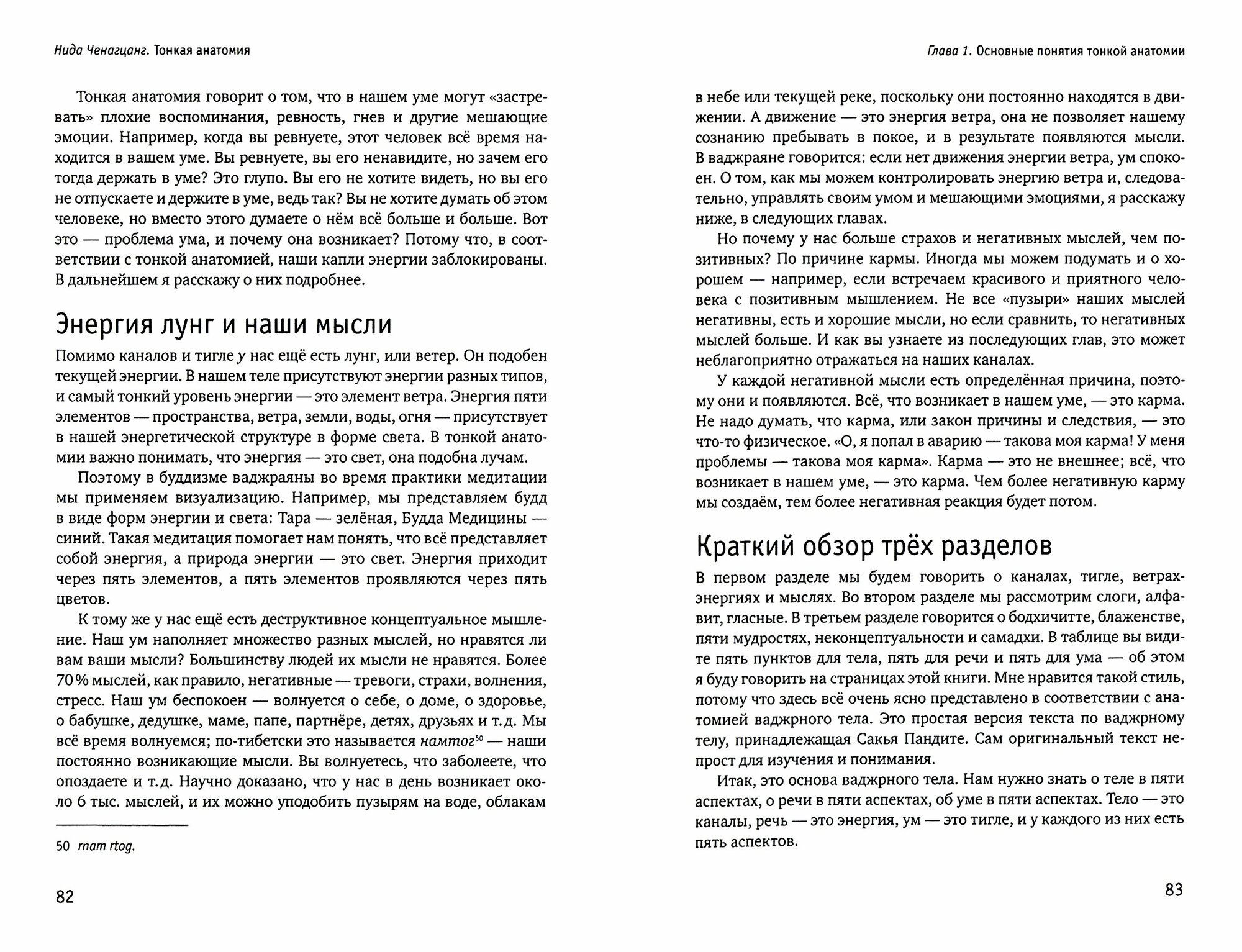 Тонкая анатомия в тибетской медицине, йоге и медит - фото №4