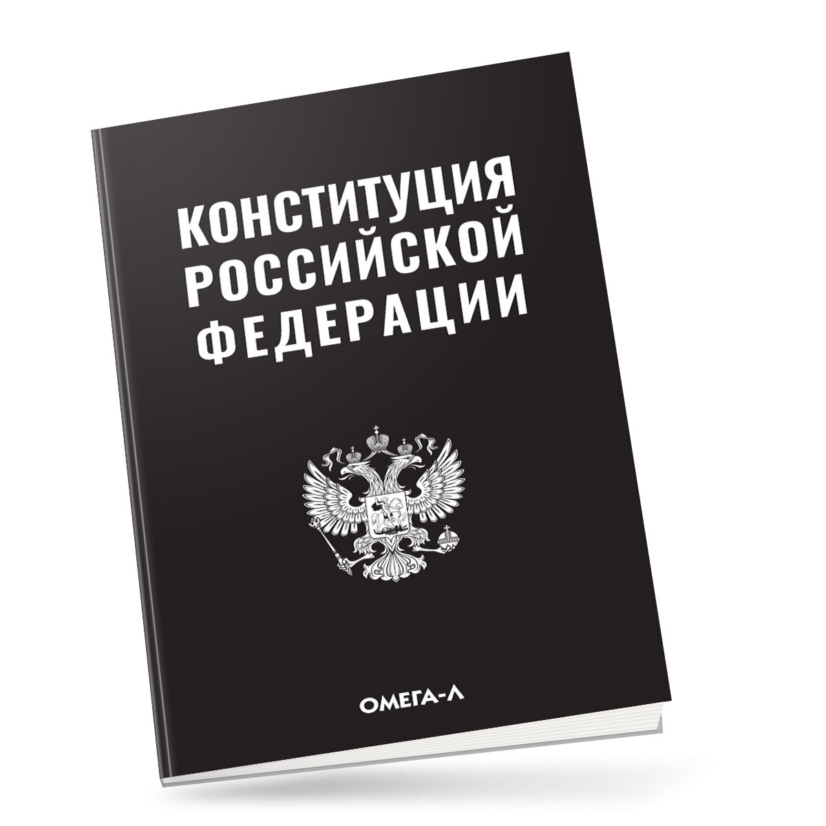 Конституция Российской Федерации - фото №13