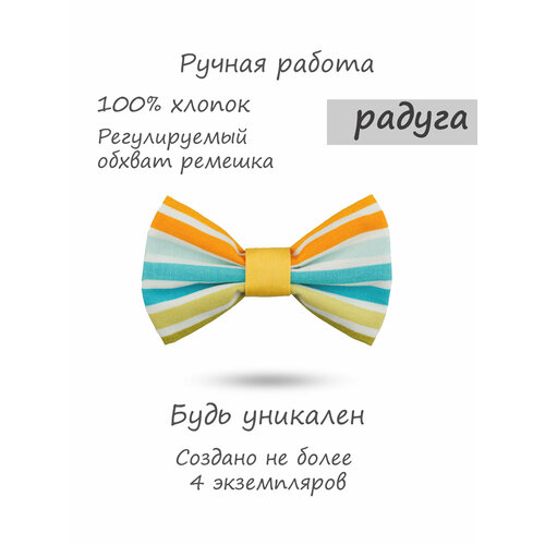 фото Бабочка happybowtie, мультиколор