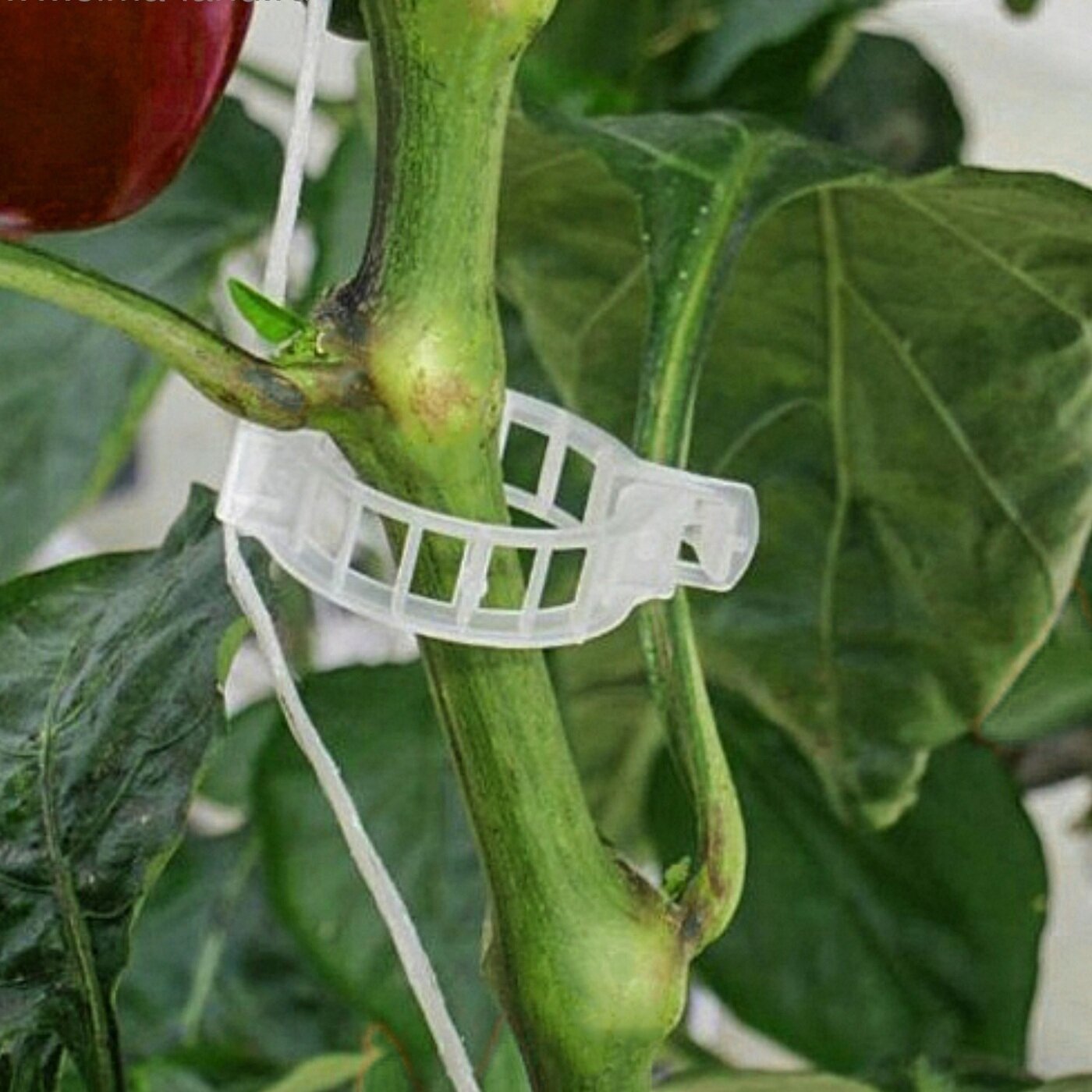 фото Клипсы для подвязки растений D 25 мм, 50 шт