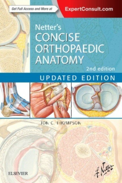Netter's Concise Orthopaedic Anatomy, Updated Edition, 2e / Thompson, Jon C. - фото №1