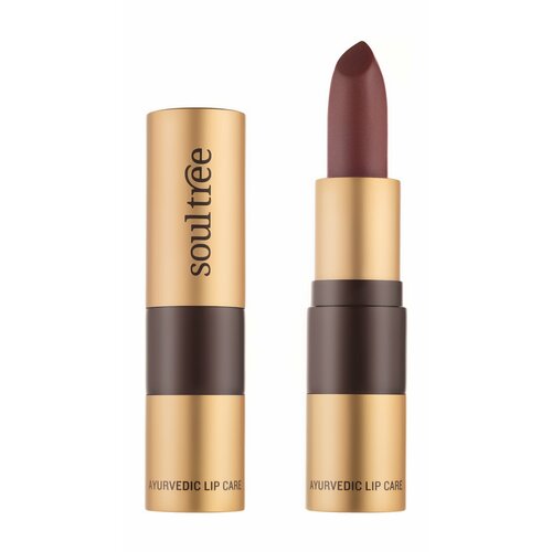 SOULTREE Ayurvedic Lipcare Помада для губ, 4 г, 906 Какао
