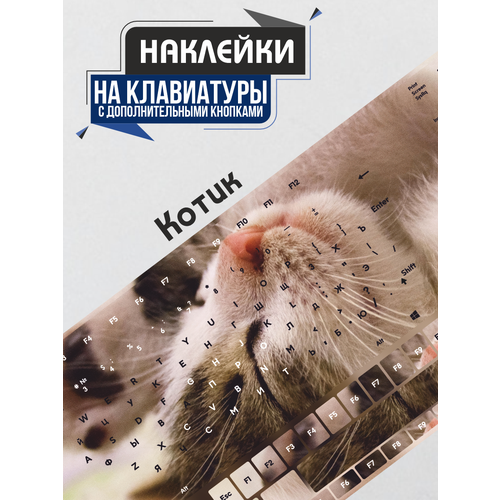 Наклейки на клавиатуру ноутбука Котик