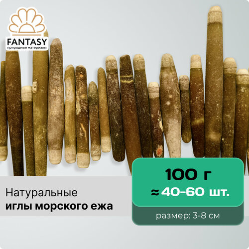 Натуральные иглы морского ежа FANTASY, набор весом 100 г (40-60 шт.), размер: 3-8 см