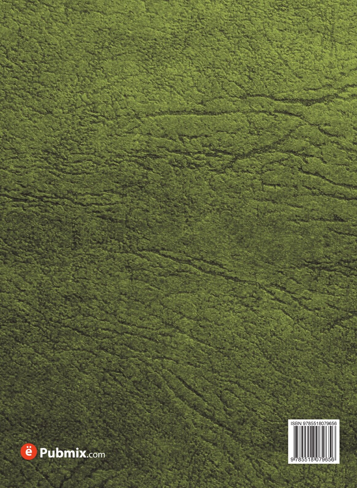 Книга Русская фиваида на севере - фото №2