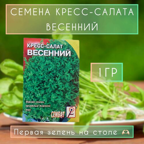 Сембат семена кресс-салат Весенний кресс салат