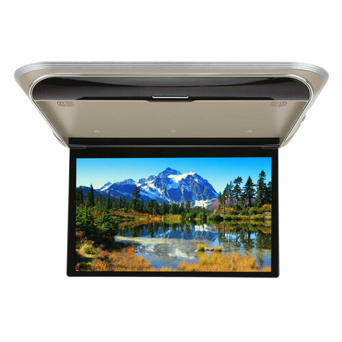 Автомобильный потолочный монитор 173 ERGO ER17M бежевый 23903₽