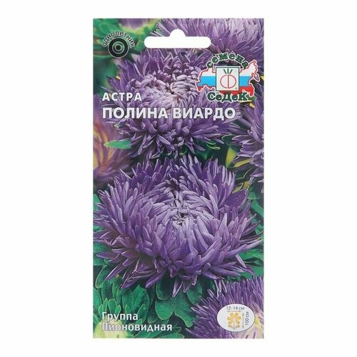 Семена цветов Астра Полина Виардо, 0,2 г ( 1 упаковка )