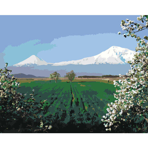 Картина по номерам Армения: пейзаж, вид на Арарат 40x50 картина по номерам прибрежный городок 40x50 холст на подрамнике живопись рисование раскраска пейзаж